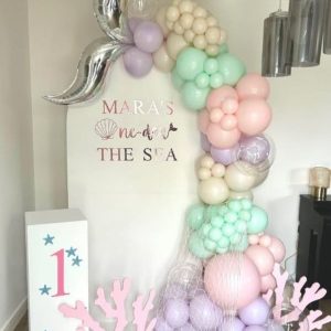 BERRY BIRTDAY THEME DECOR
