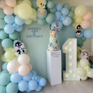 DONALD DUCK THEME DECOR