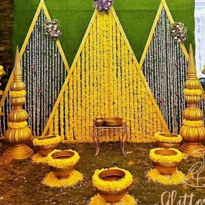 GRASS WITH TRENDY TRAINGLE